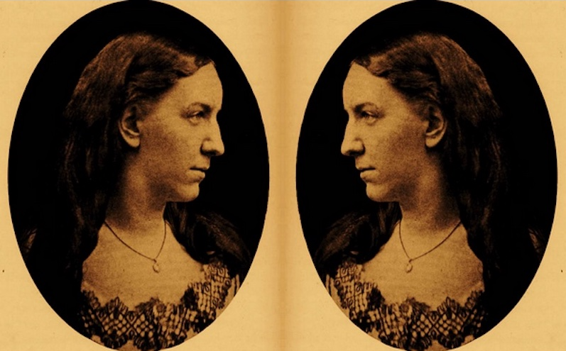 Essay on LitHub about Forgotten Authors!